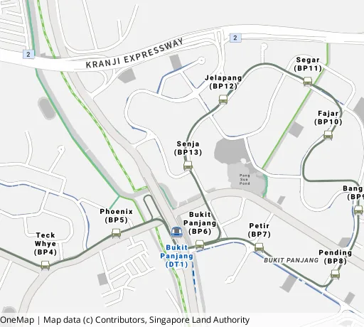 Map of the area around Blk 609 Bt Panjang Ring Rd in Bukit Panjang, showing 400 m and 1 km rings and 5 primary schools within 1 km