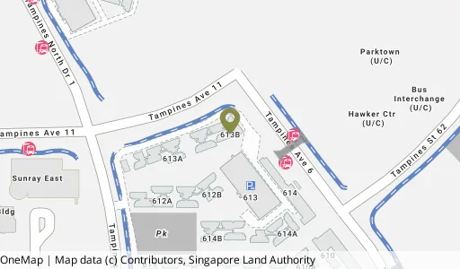 Location map of Blk 613B Tampines Nth Dr 1, a HDB resale block in Tampines, Singapore