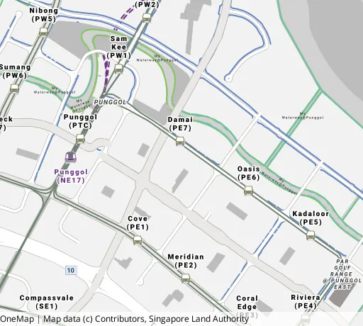 Map of the area around Blk 613C Punggol Dr in Punggol, showing 400 m and 1 km rings and 5 primary schools within 1 km