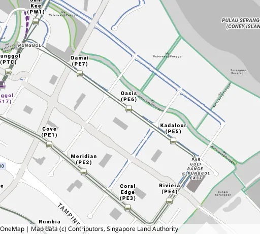 Map of the area around Blk 617D Punggol Dr in Punggol, showing 400 m and 1 km rings and 7 primary schools within 1 km