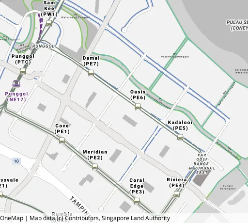Map of the area around Blk 618D Punggol Dr in Punggol, showing 400 m and 1 km rings and 7 primary schools within 1 km