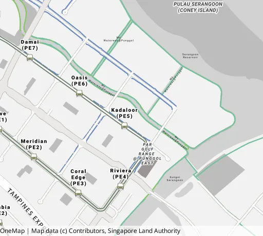 Map of the area around Blk 663A Punggol Dr in Punggol, showing 400 m and 1 km rings and 4 primary schools within 1 km