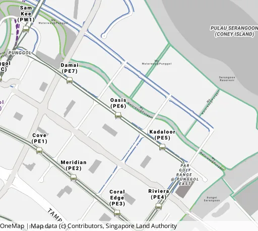 Map of the area around Blk 665A Punggol Dr in Punggol, showing 400 m and 1 km rings and 6 primary schools within 1 km