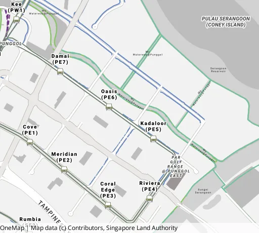 Map of the area around Blk 665C Punggol Dr in Punggol, showing 400 m and 1 km rings and 5 primary schools within 1 km