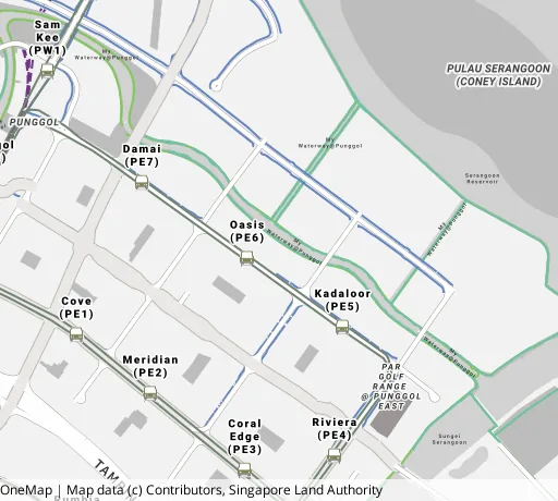 Map of the area around Blk 667A Punggol Dr in Punggol, showing 400 m and 1 km rings and 5 primary schools within 1 km