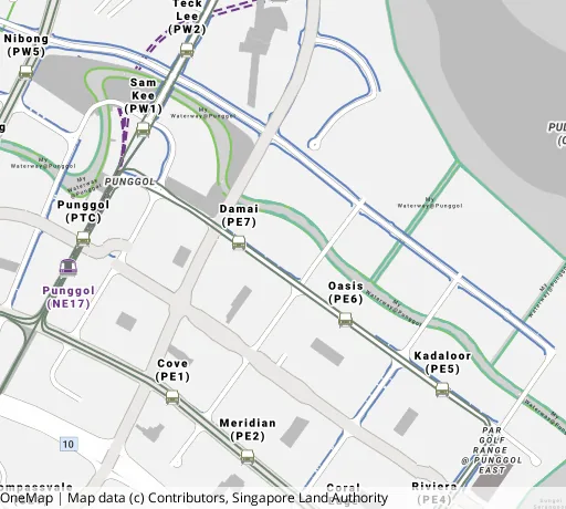 Map of the area around Blk 676B Punggol Dr in Punggol, showing 400 m and 1 km rings and 5 primary schools within 1 km