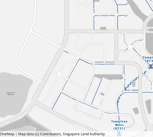 Map of the area around Blk 869A Tampines Ave 8 in Tampines, showing 400 m and 1 km rings and 2 primary schools within 1 km