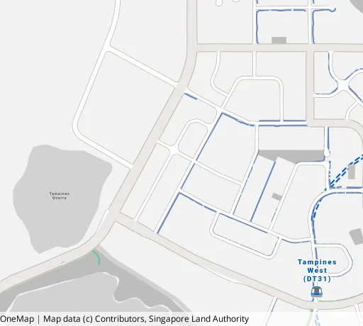 Map of the area around Blk 876C Tampines Ave 8 in Tampines, showing 400 m and 1 km rings and 2 primary schools within 1 km
